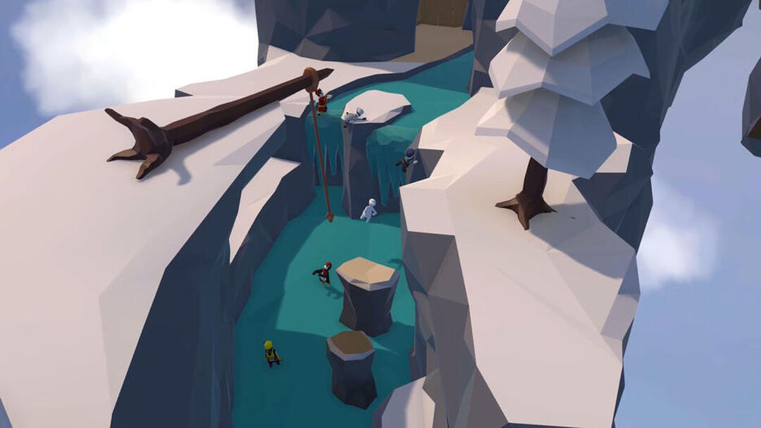 Human Fall Flat Anniversary Edition | Occasion