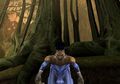 Soul Reaver:legacy Kain 2 | Occasion thumb 7