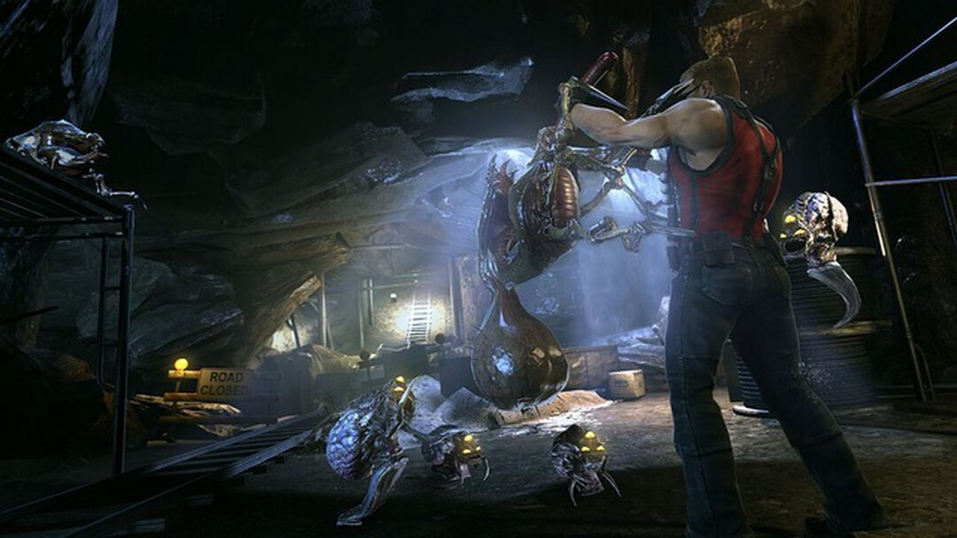 Duke Nukem Forever | Occasion