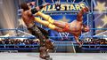 Wwe All Stars | Occasion thumb 14