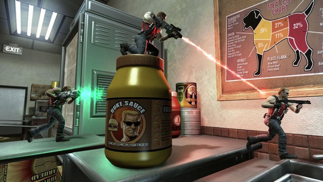 Duke Nukem Forever | Occasion