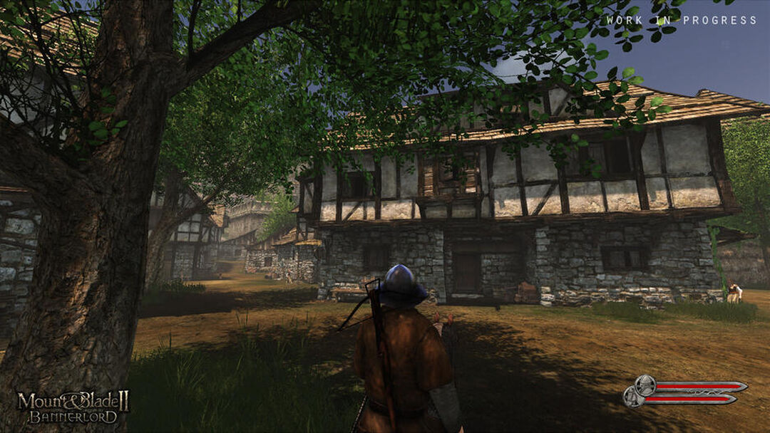 Mount & Blade II Bannerlord | Occasion