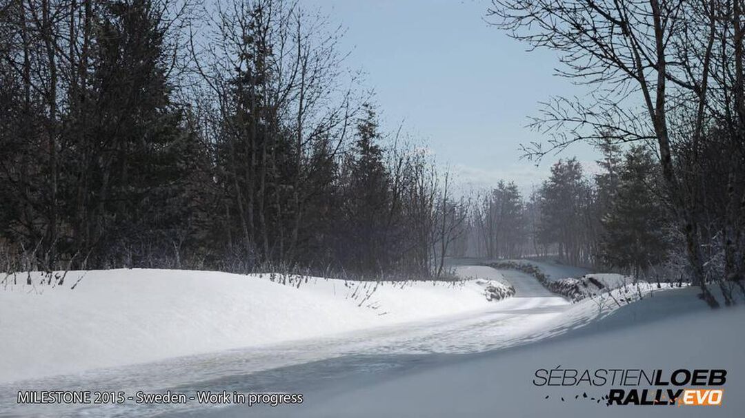 Sebastien Loeb Rally Evo | Occasion