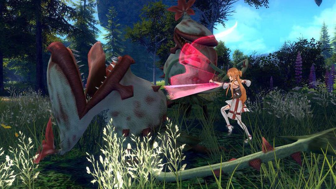 Sword Art Online Hollow Realization | Occasion