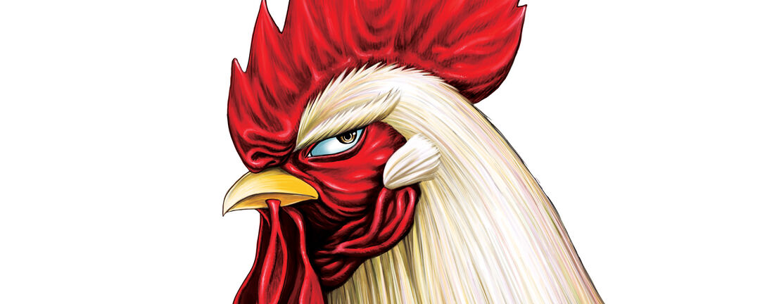 ROOSTER FIGHTER