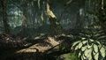 Lost | Occasion thumb 10