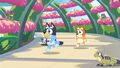 Bluey's Happy Snaps Dayone Deluxe Edition thumb 2