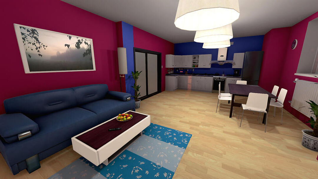 House Flipper | Occasion