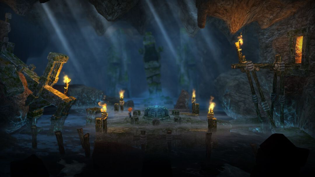 Dlc Max The Curse Of Brotherhood Jeu Complet