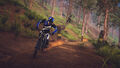 Descenders | Occasion thumb 3