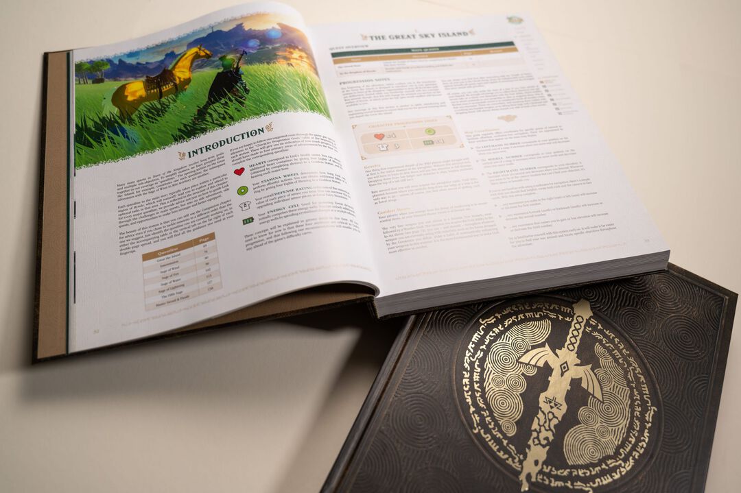 GUIDE ZELDA Tears Of The Kingdom | Version Collector