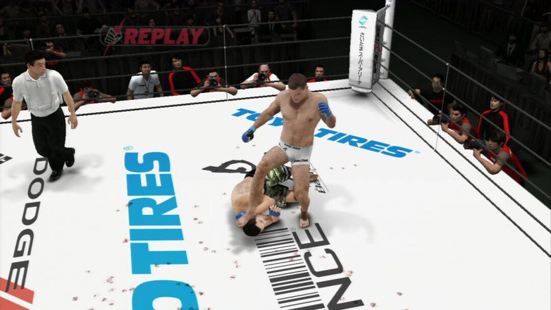 Ufc Undisputed 3 | Occasion