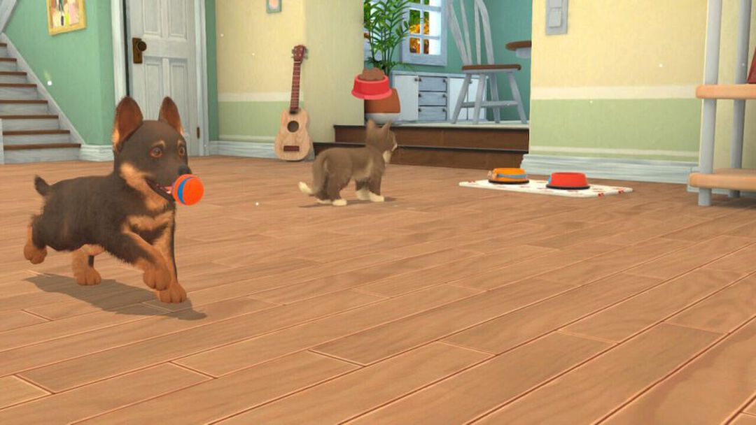My Universe Pets Edition | Occasion