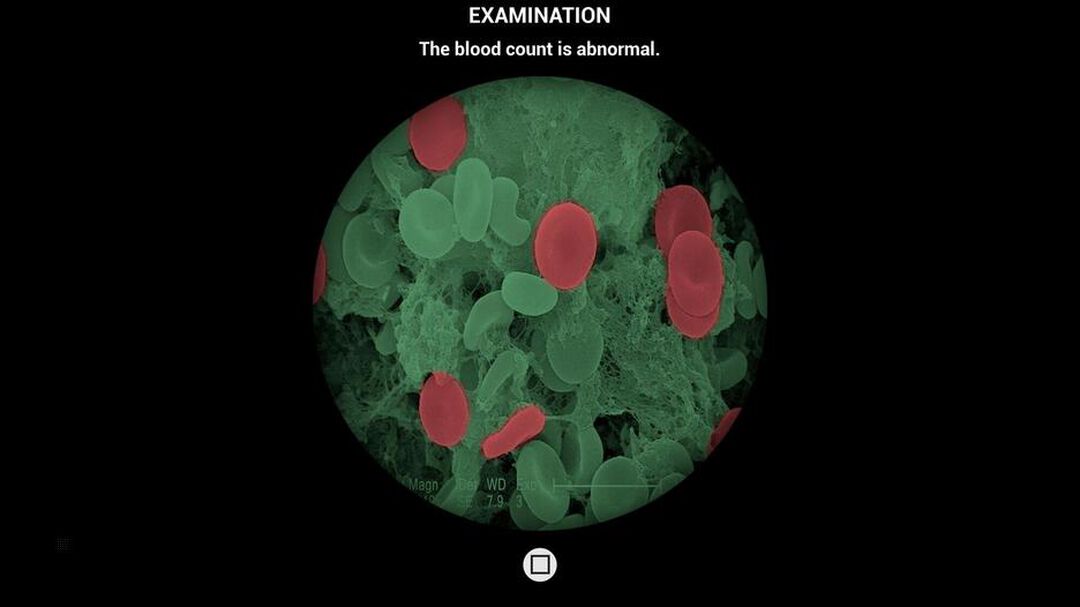 Ma Vie Veterinaire | Occasion