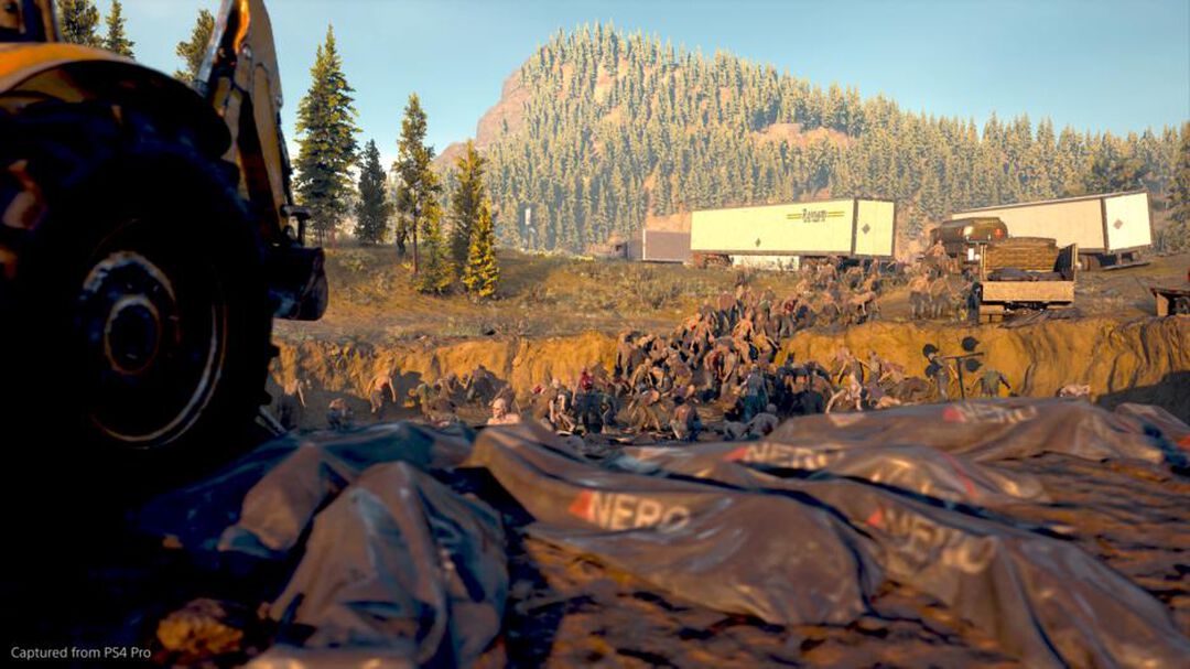 Days Gone | Occasion