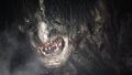 Resident Evil Village Collector Edition thumb 24