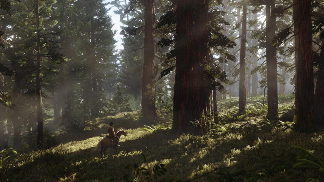 Red Dead Redemption 2 | Occasion