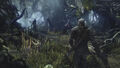 The Witcher 3 Wild Hunt Goty | Occasion thumb 25