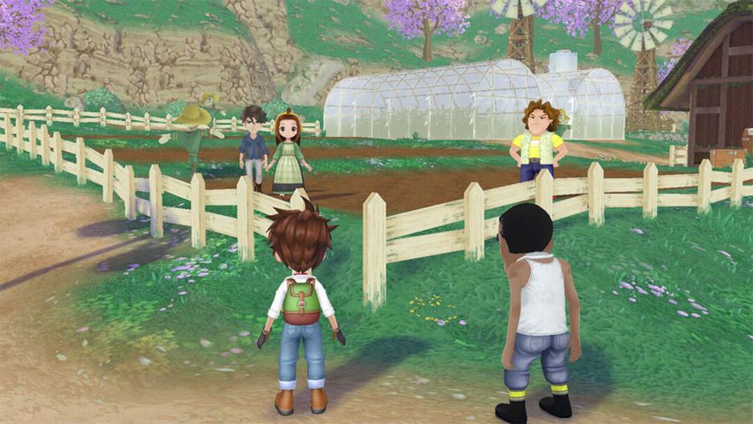Story Of Seasons A Wonderful Life | Occasion