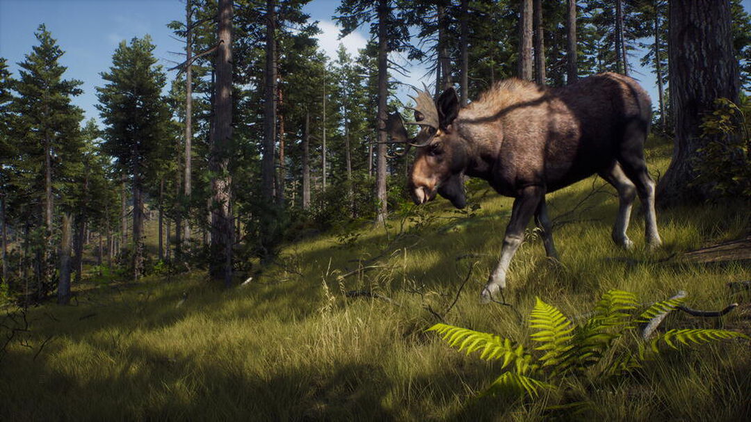Way Of The Hunter | Occasion