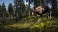 Way Of The Hunter | Occasion thumb 5
