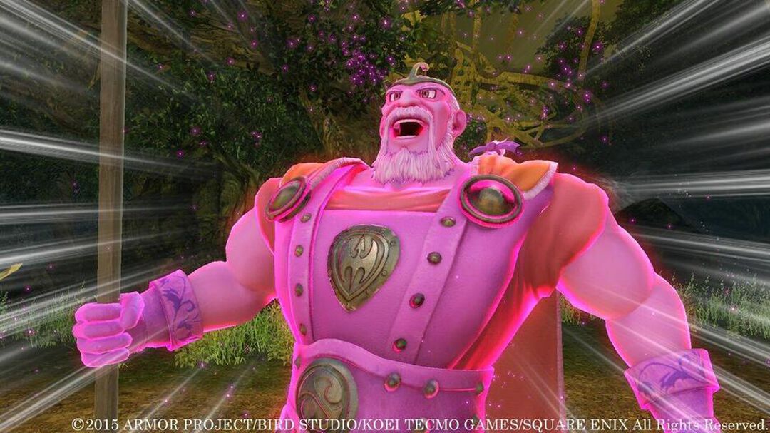 Dragon Quest Heroes | Occasion