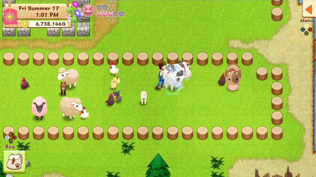Harvest Moon Light Of Hope Complete Special Edition | Occasion
