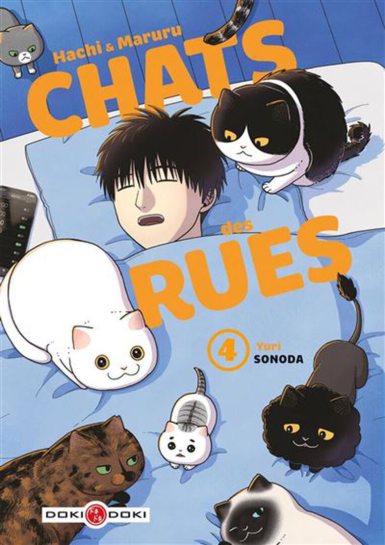 Manga | Hachi & Maruru | Chats Des Rues | Tome 04