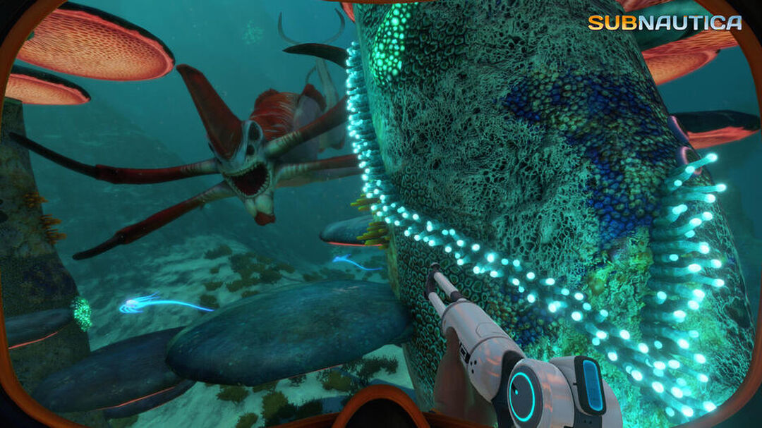 Subnautica | Occasion