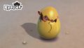 Eyepet | Occasion thumb 3