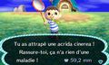 Animal Crossing New Leaf | Occasion thumb 5
