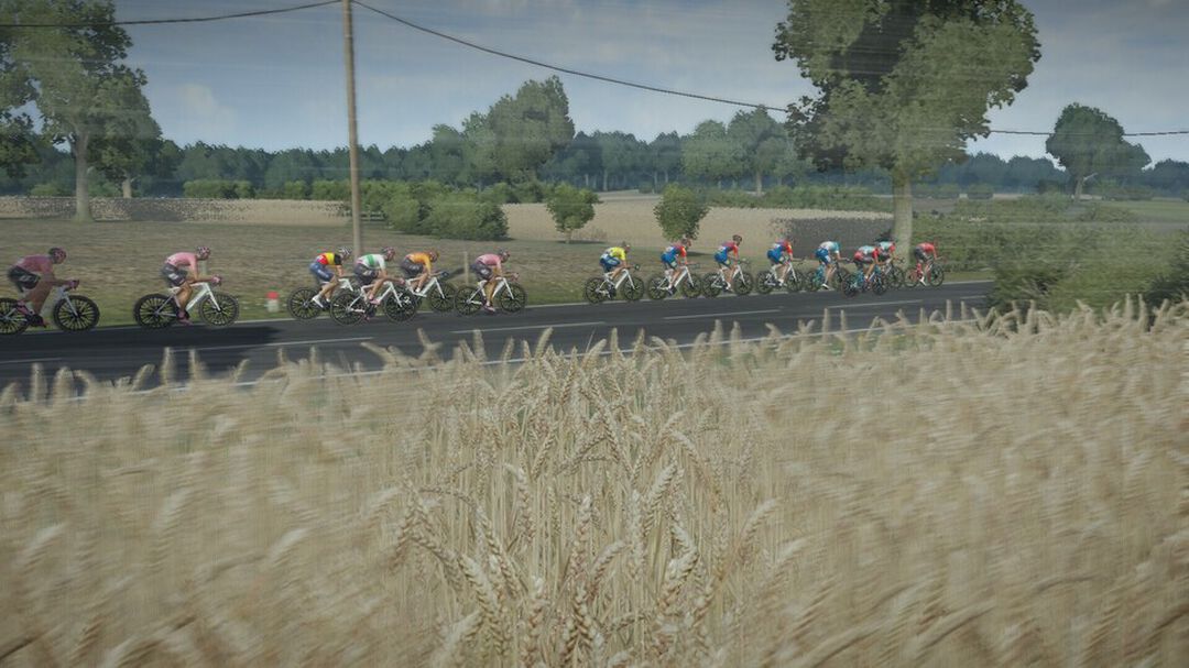 Tour De France 2024 | Occasion