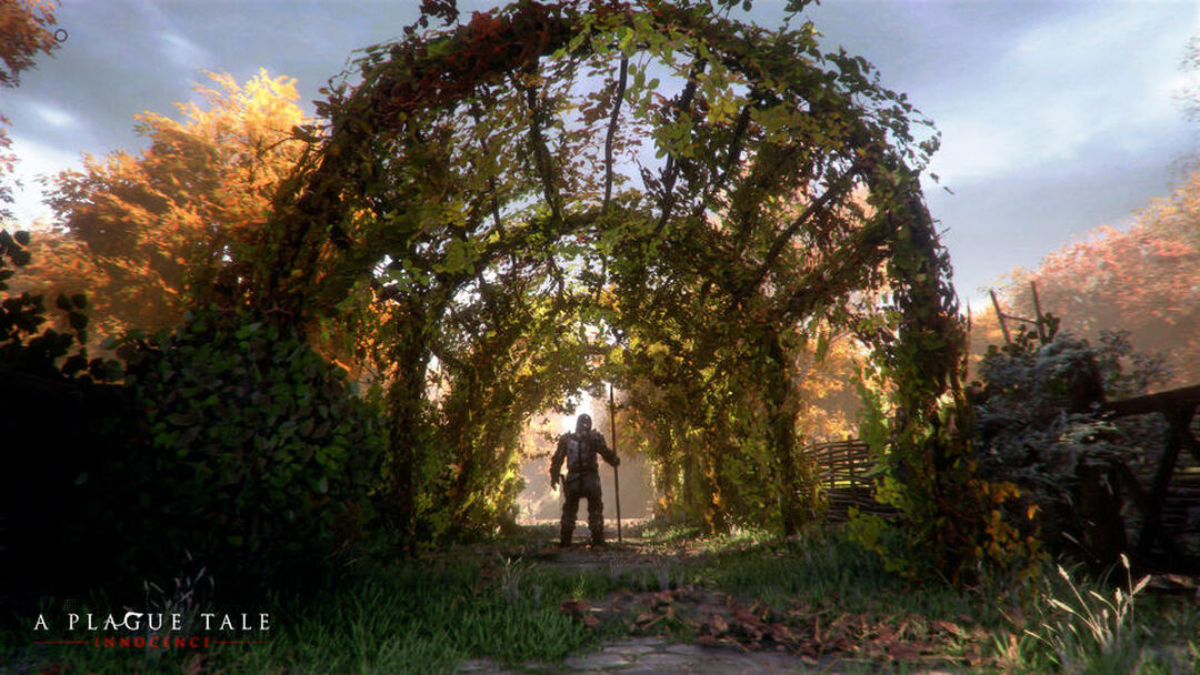 A Plague Tale Innocence | Occasion
