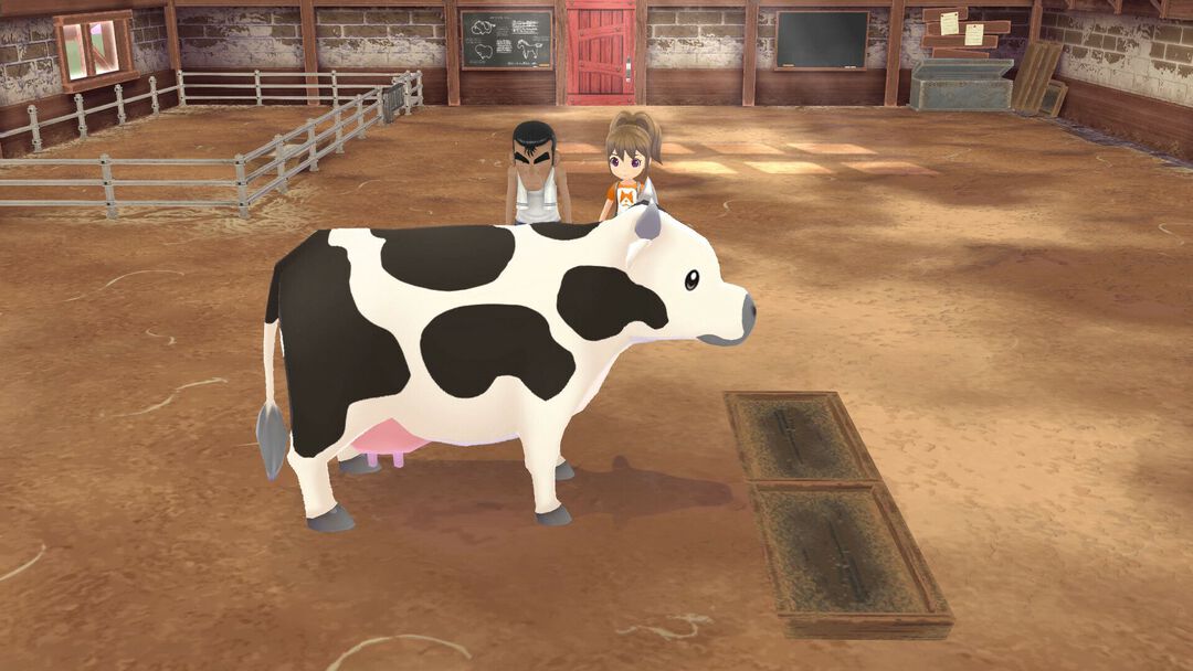 Story Of Seasons A Wonderful Life Edition Limitee