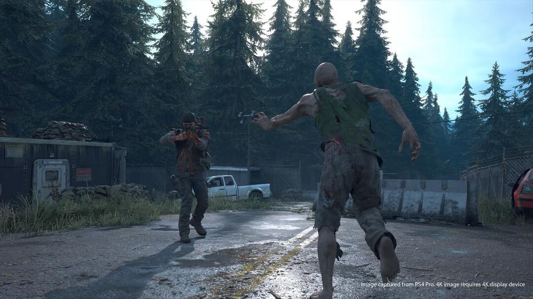 Days Gone | Occasion