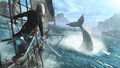 Assassin's Creed 4 Black Flag | Occasion thumb 3