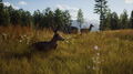 Way Of The Hunter | Occasion thumb 6