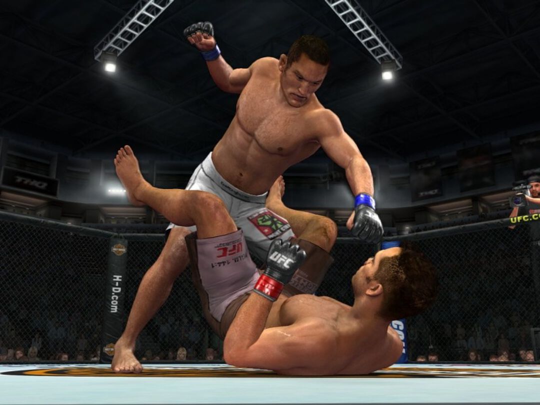 Ufc Undisputed | Occasion