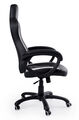 Chaise Gaming Officiel Sony Pcch350 Blanc & Noir