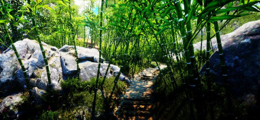 Shenmue III | Occasion