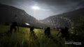 Ghost Recon Wildlands | Occasion thumb 11