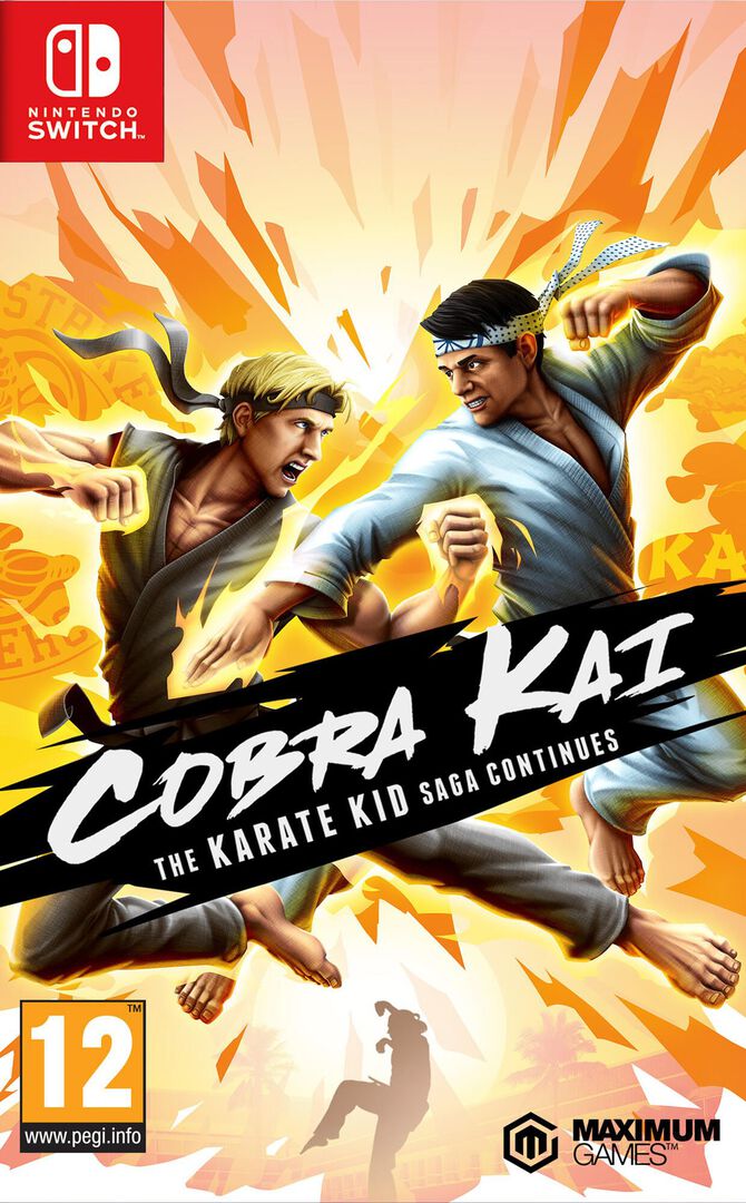 Cobra Kai The Karate Kid Continues | Occasion
