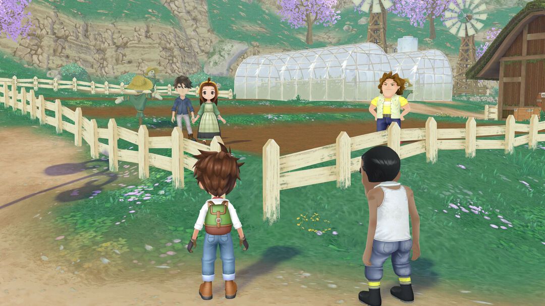 Story Of Seasons A Wonderful Life Edition Limitee
