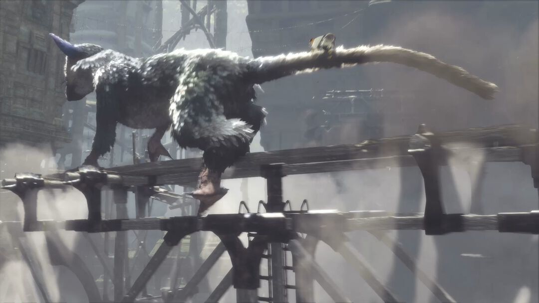 The Last Guardian | Occasion