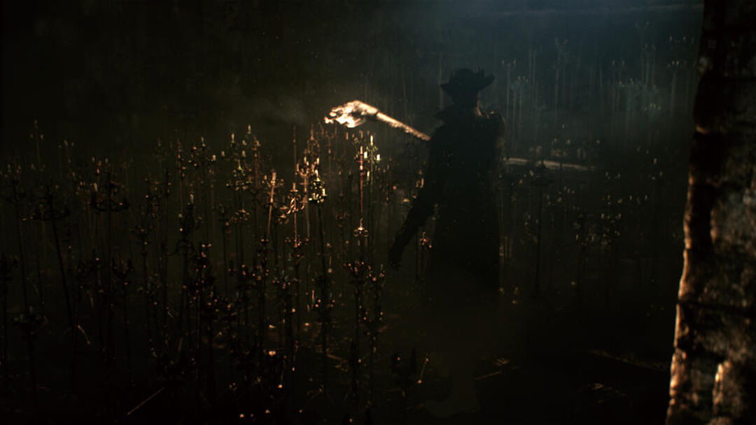 Bloodborne | Occasion