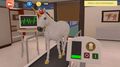 Animal Hospital | Occasion thumb 3