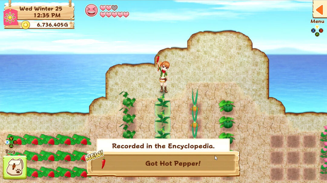 Harvest Moon Light Of Hope Complete Special Edition | Occasion