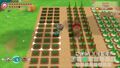 Story Of Seasons Friends Of Mineral Town | Occasion thumb 9