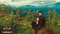 The Witcher 3 Wild Hunt | Occasion thumb 4