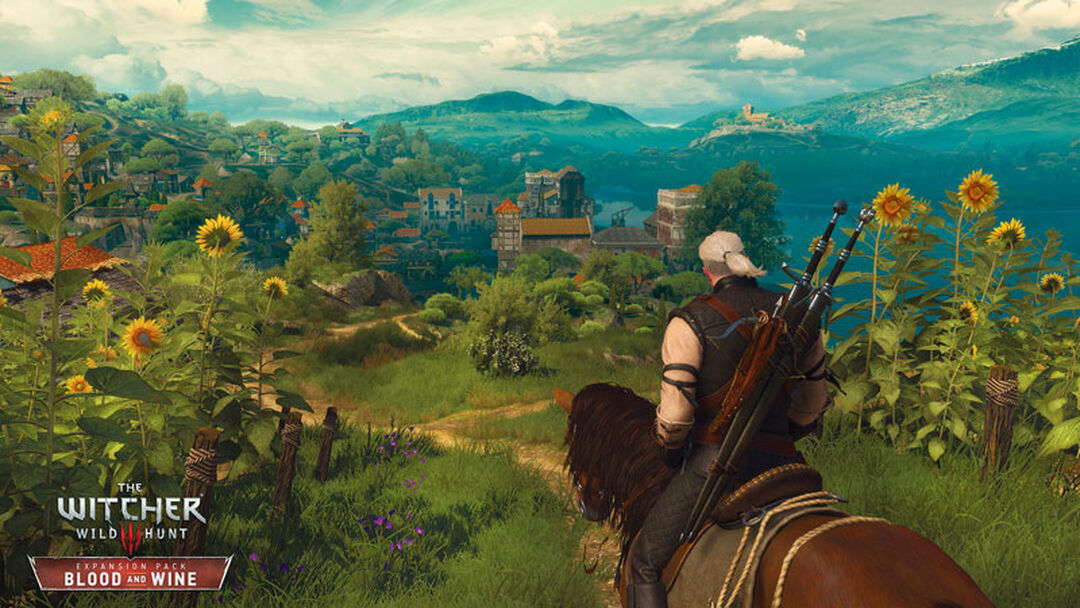 The Witcher 3 | Occasion